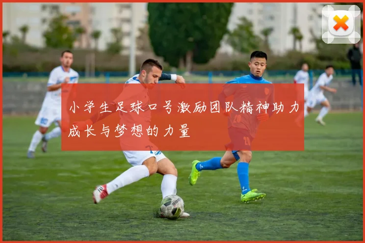 小学生足球口号激励团队精神助力成长与梦想的力量