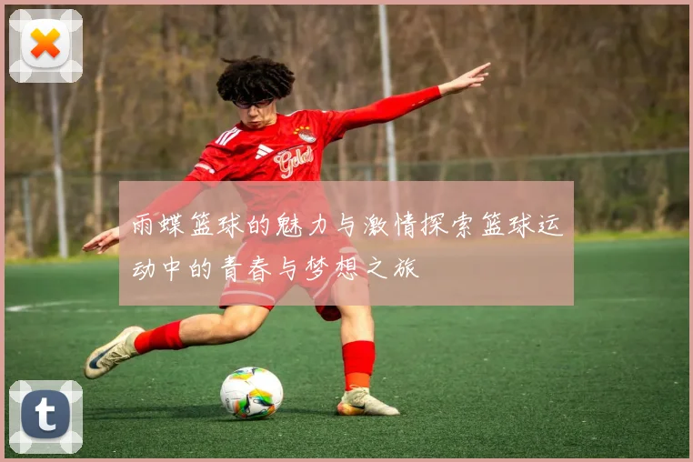 雨蝶篮球的魅力与激情探索篮球运动中的青春与梦想之旅